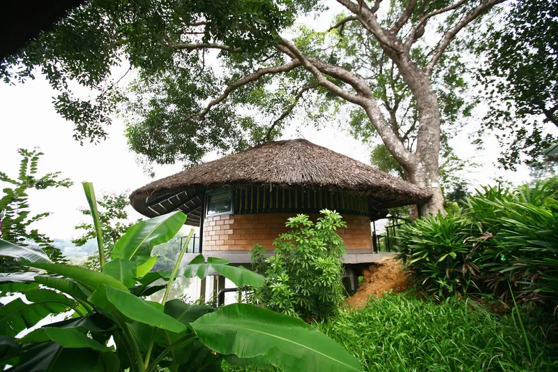Elevated circular pavilion with thatched roof and brick walls surrounded by banana plants and mature trees