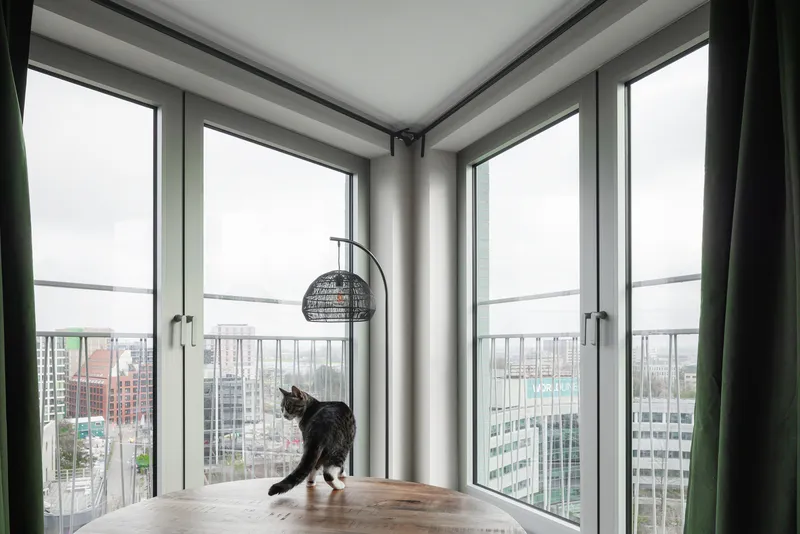 Corner window with a cat walking on the sill and a wire pendant light overhead