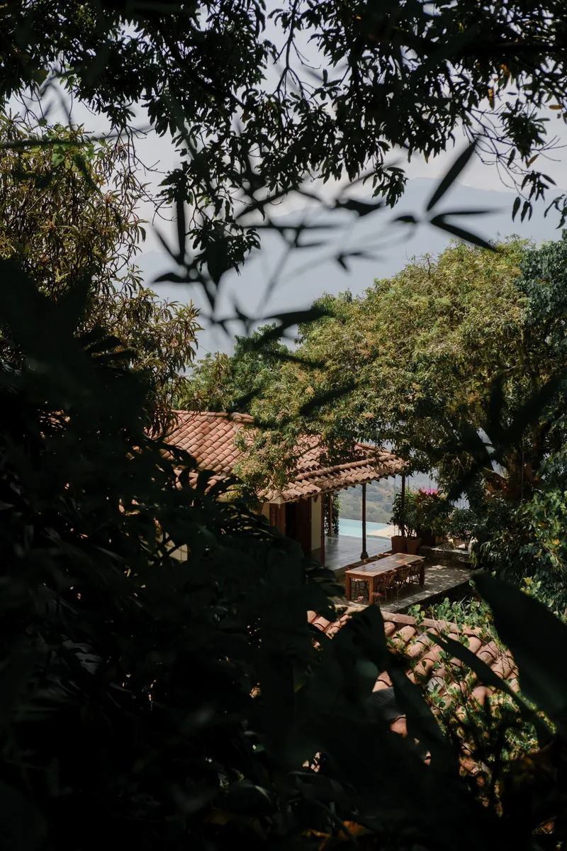 Red clay tile roof partially obscured by overhanging tree branches above a terrace