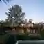 House Between Trees by Barbara Berson: A Harmonious Blend of Architecture and Nature