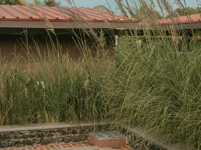 Oasis Studio in Ahmedabad: A Landscape-Integrated Architecture Workspace by Studio Saransh