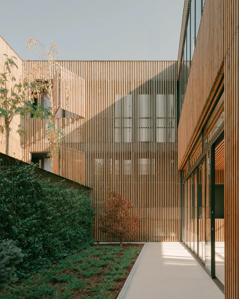 Exterior walkway with vertical timber cladding and planted slope adjacent to glazed corridor