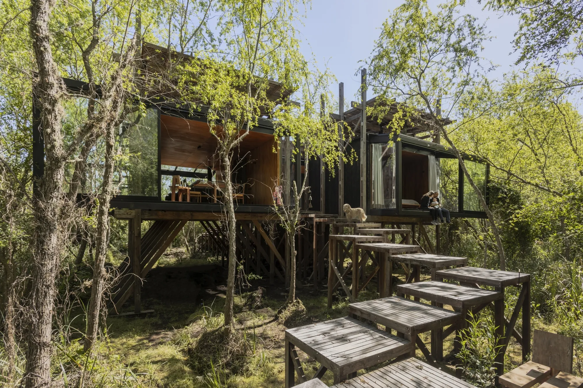 Dragon-fly House by Barbara Berson + Horacio Sardin: A Forest Retreat in the Paraná Delta