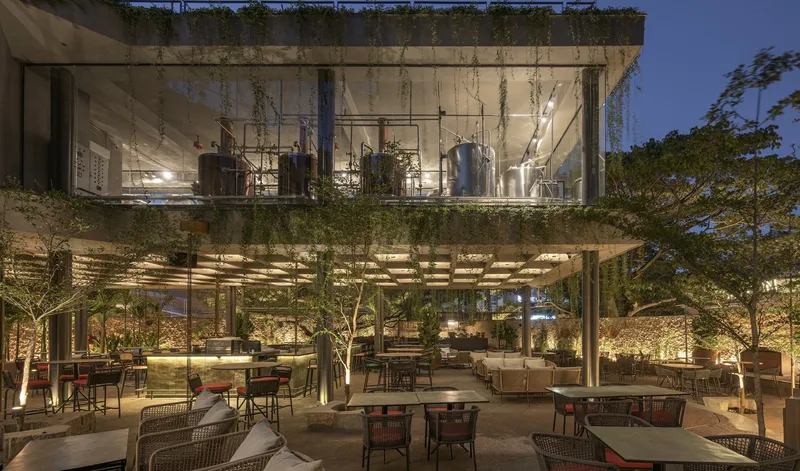 Evening view of two-level terrace with planted rooftop parapet and dining seating below