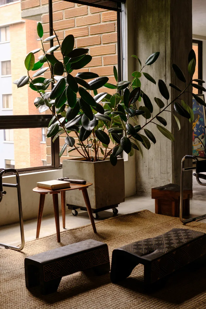 Balcony corner with concrete column, timber stool, and potted rubber plant in afternoon sunlight
