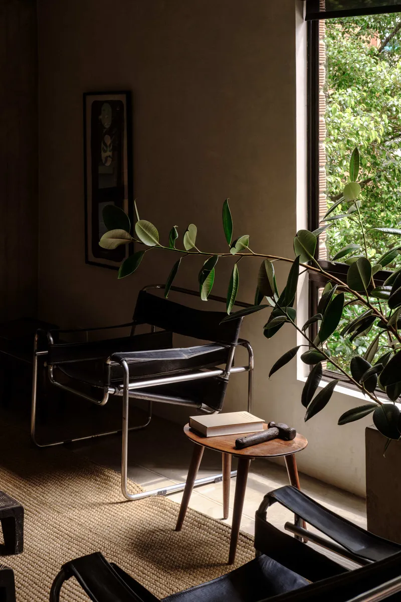 Seating area with tubular steel chair near a window overlooking leafy vegetation in afternoon light