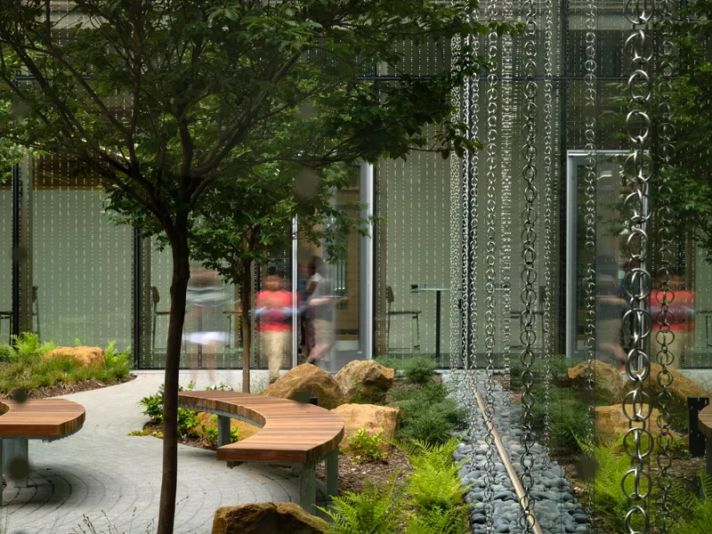 Courtyard with decorative chain rain curtains, planted beds with boulders and glass walls beyond trees