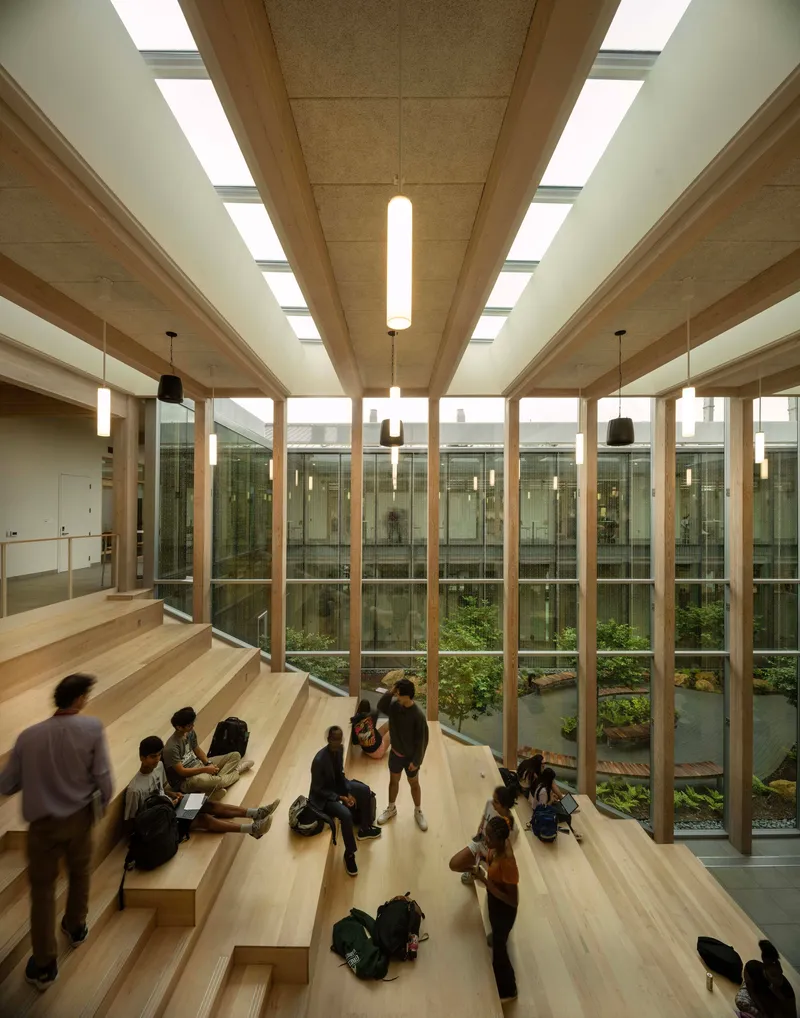 Interior seating area with angled timber benches facing a glazed courtyard with planted greenery below