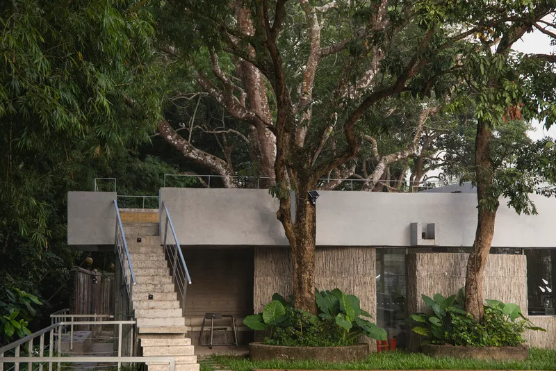 Concrete stair ascending alongside tree trunks to a cantilevered upper volume with textured wall panels