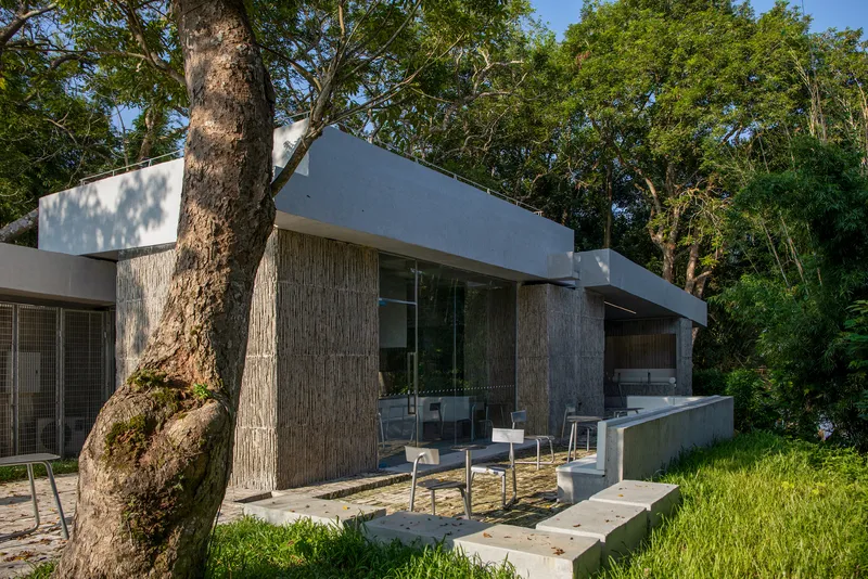 Outdoor terrace with concrete seating ledge beneath the overhanging slab and weathered tree trunk