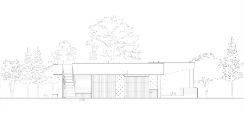 Elevation drawing showing flat-roofed volumes set among mature trees with detailed foliage rendering