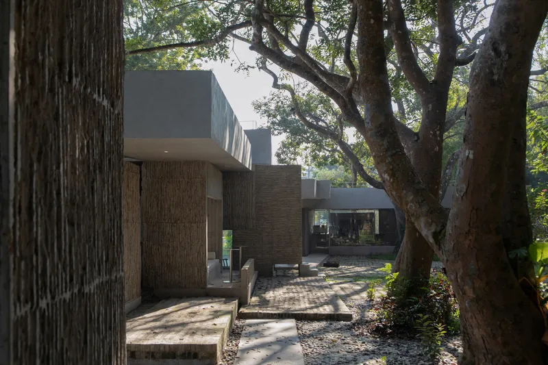 Pathway through the courtyard framed by tree trunks, concrete overhangs, and dappled sunlight on brick pavers