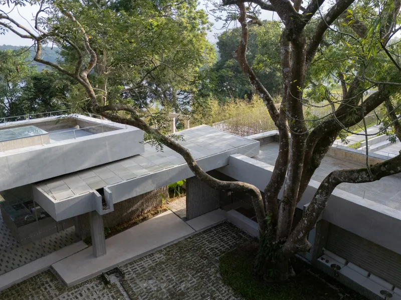 Elevated view showing staggered concrete roof slabs around mature tree trunks in dappled sunlight