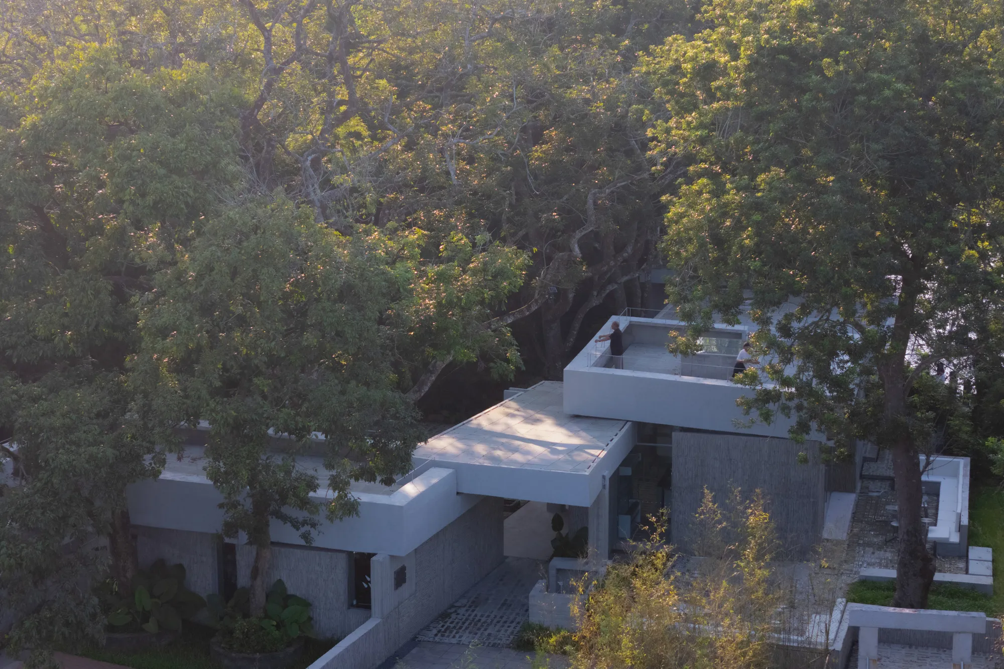Noon Repose Pavilion: Architecture That Yields to Trees