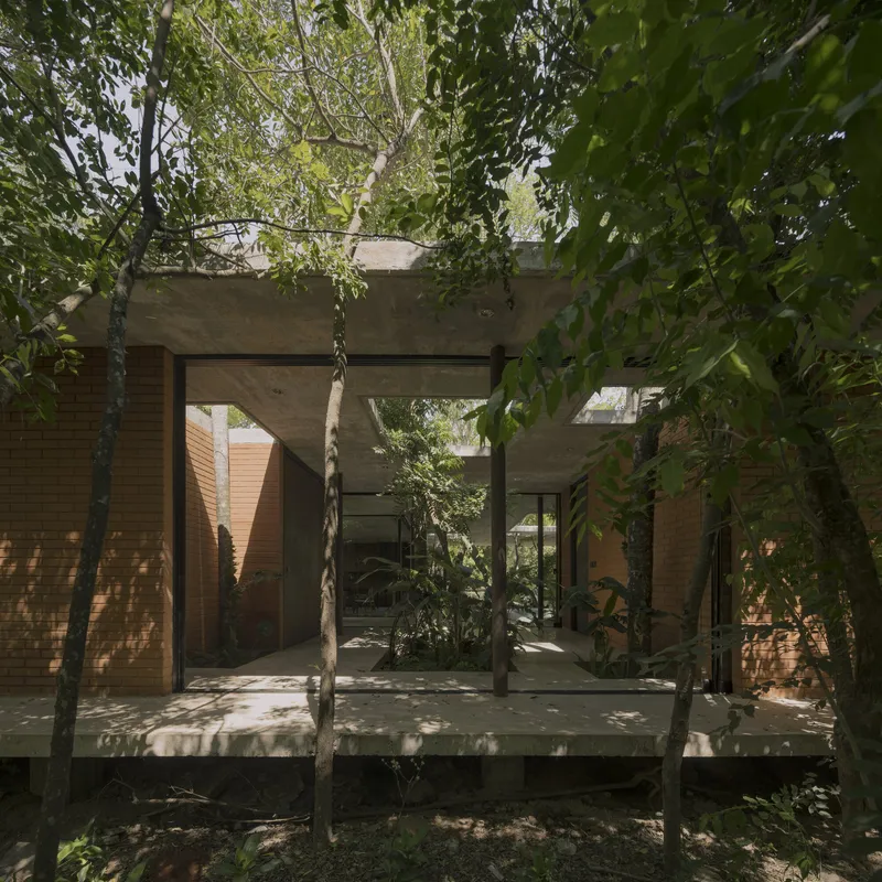Elevated concrete terrace with timber walls and glazed passage penetrating mature trees in dappled sunlight