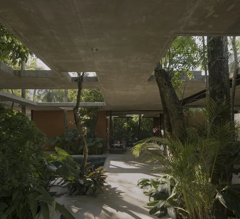 Covered courtyard with exposed concrete ceiling and skylights integrating tree trunks and tropical plantings