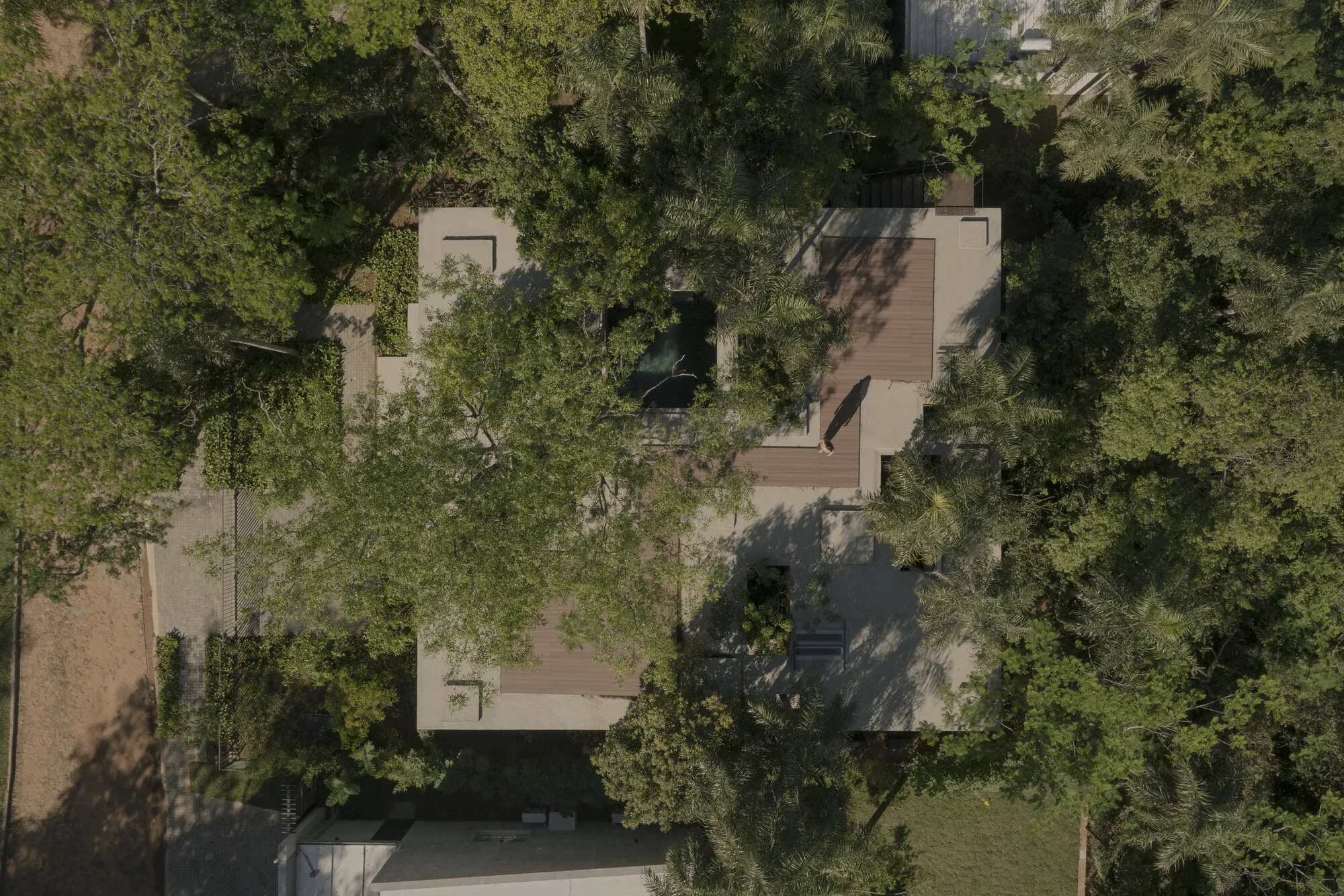 A Forest in the House by Equipo de Arquitectura