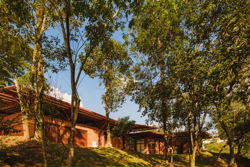 Terraced brick volumes with low-pitched roofs nestled into a hillside among mature trees