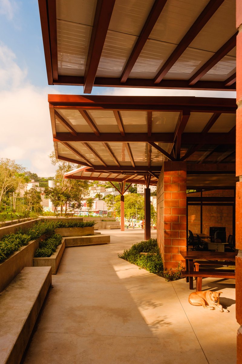 Covered walkway with timber beams and wood ceiling panels alongside planted beds in afternoon light