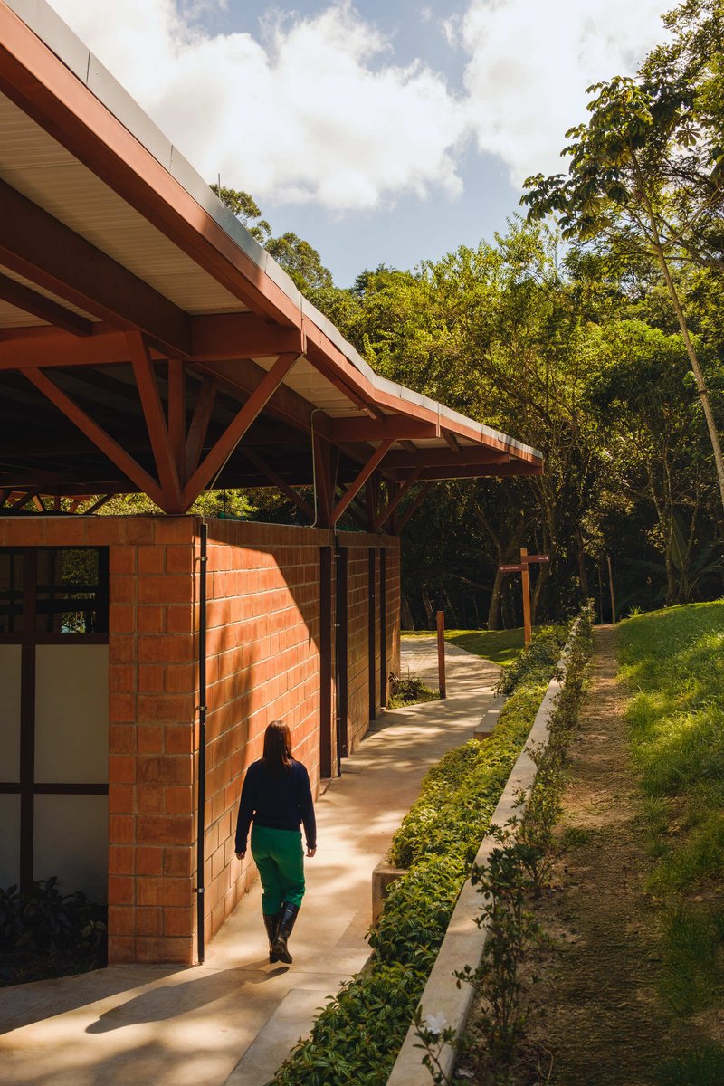 Covered walkway with exposed timber beams and red brick walls as a person walks through dappled afternoon light