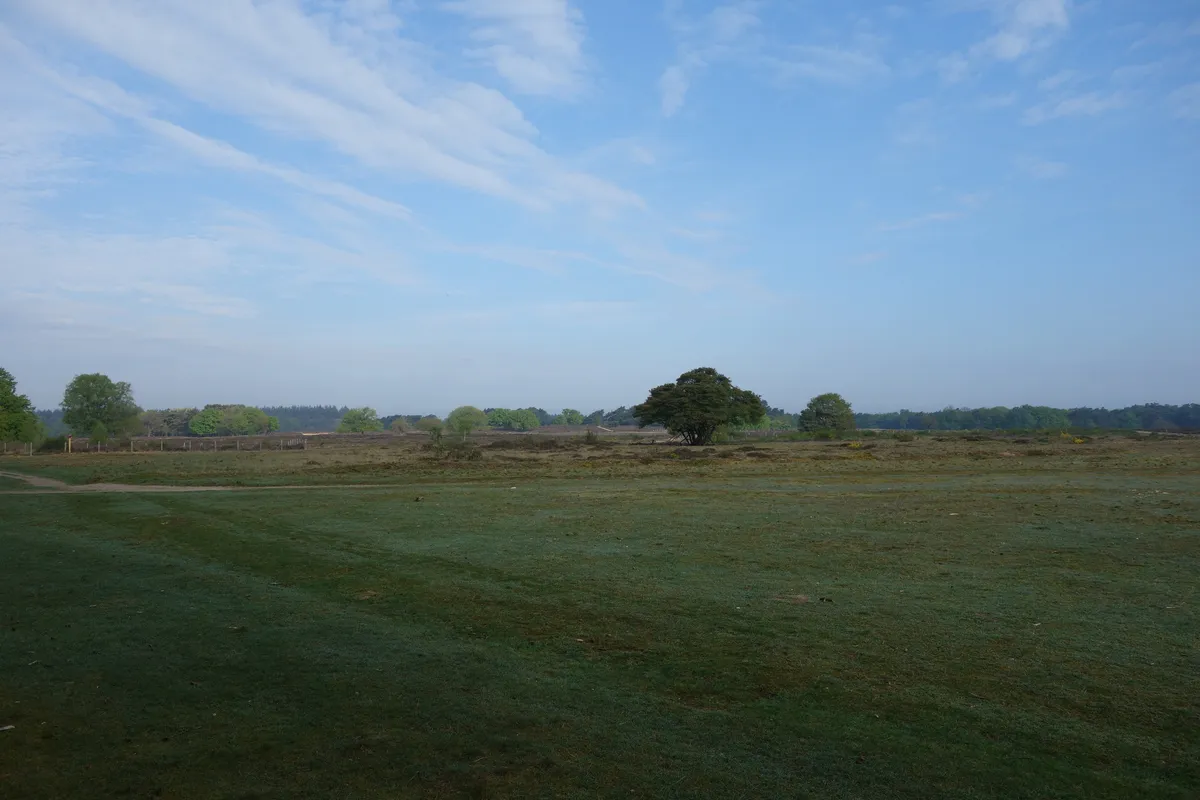 Where Work Dissolves into Dutch Heathland