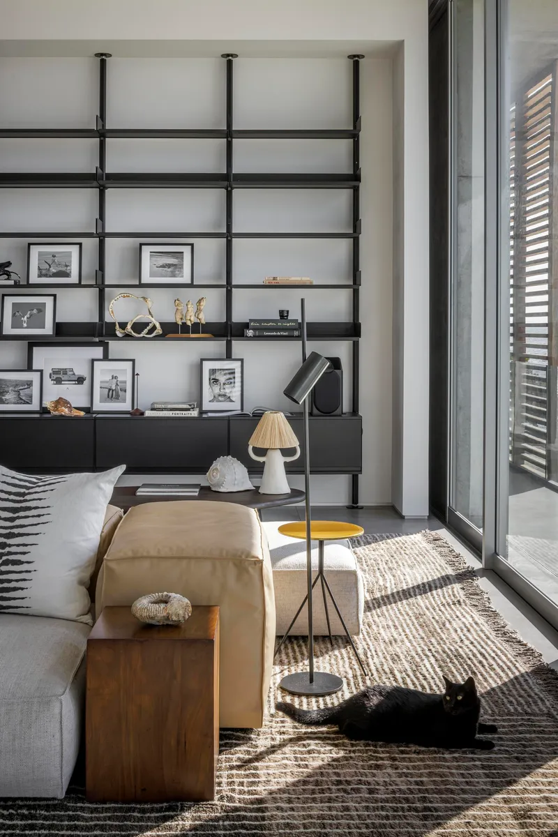 Living room with black steel shelving system displaying framed photographs and a cat resting