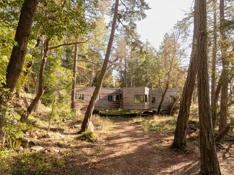 Weathered wood-clad volume set among slender tree trunks in dappled autumn forest light