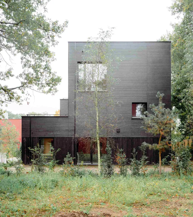 Grey horizontal timber facade with punched windows rising above dark wood base and wildflower garden