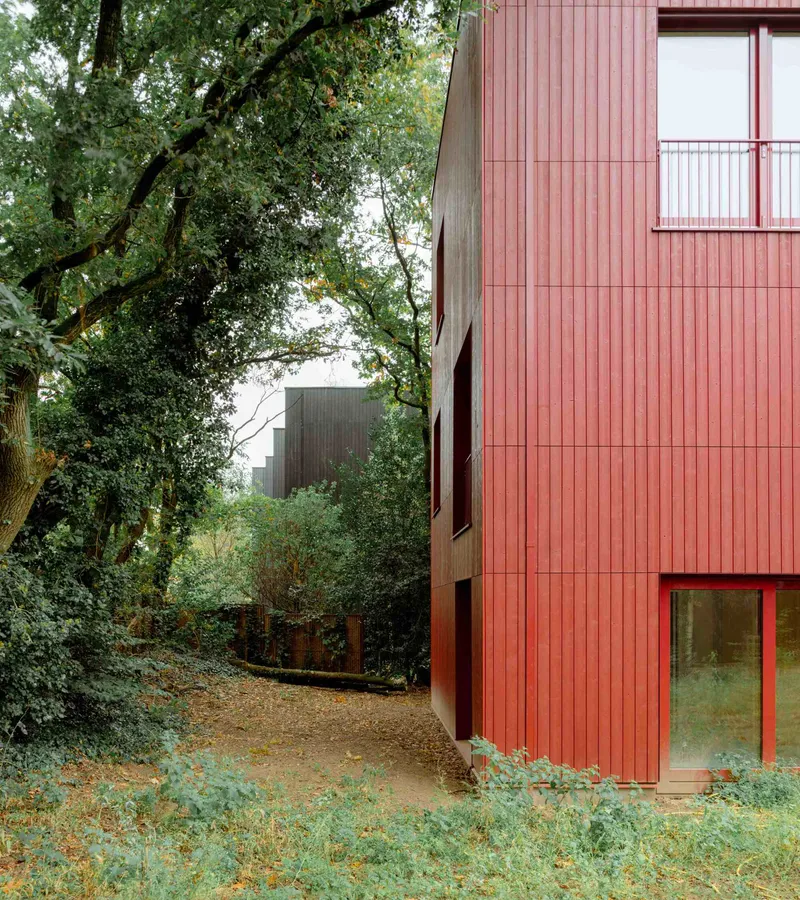 Pink ribbed facade with red-framed window surrounded by dense trees and undergrowth in soft light