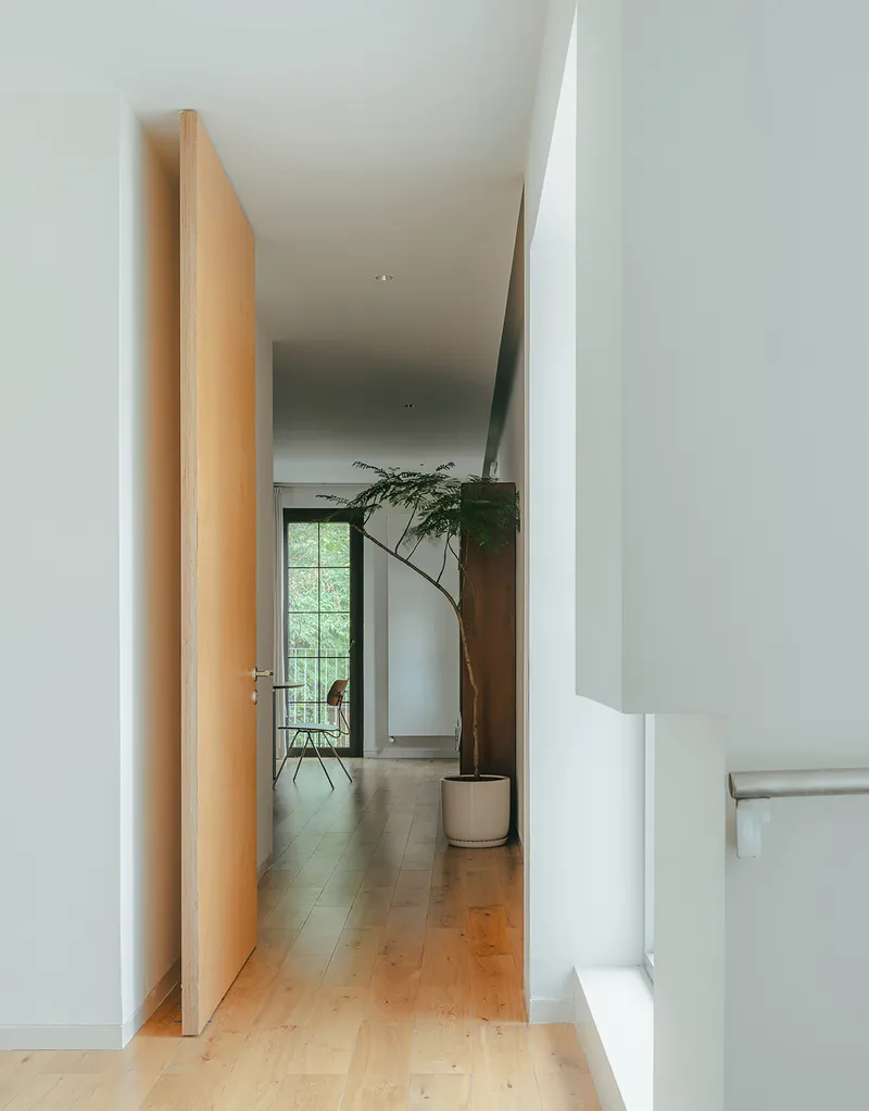 Hallway with tall wood door and potted plant leading to a glazed door at the end