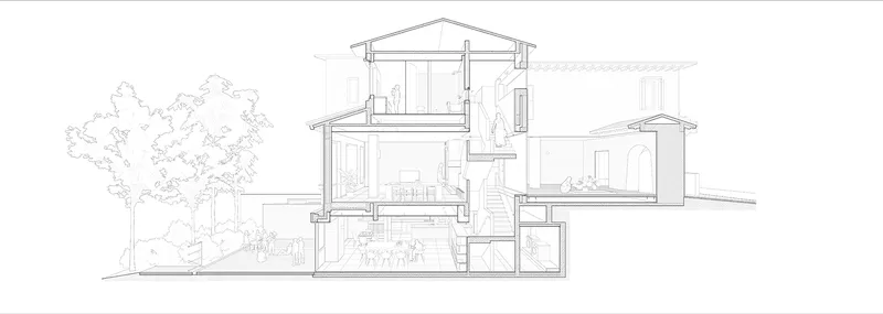 Section drawing showing multi-level interior spaces with a tree in the foreground