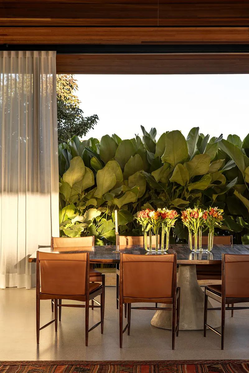 Dining table with leather chairs beside floor-to-ceiling glass and large-leaved plantings catching late afternoon sun