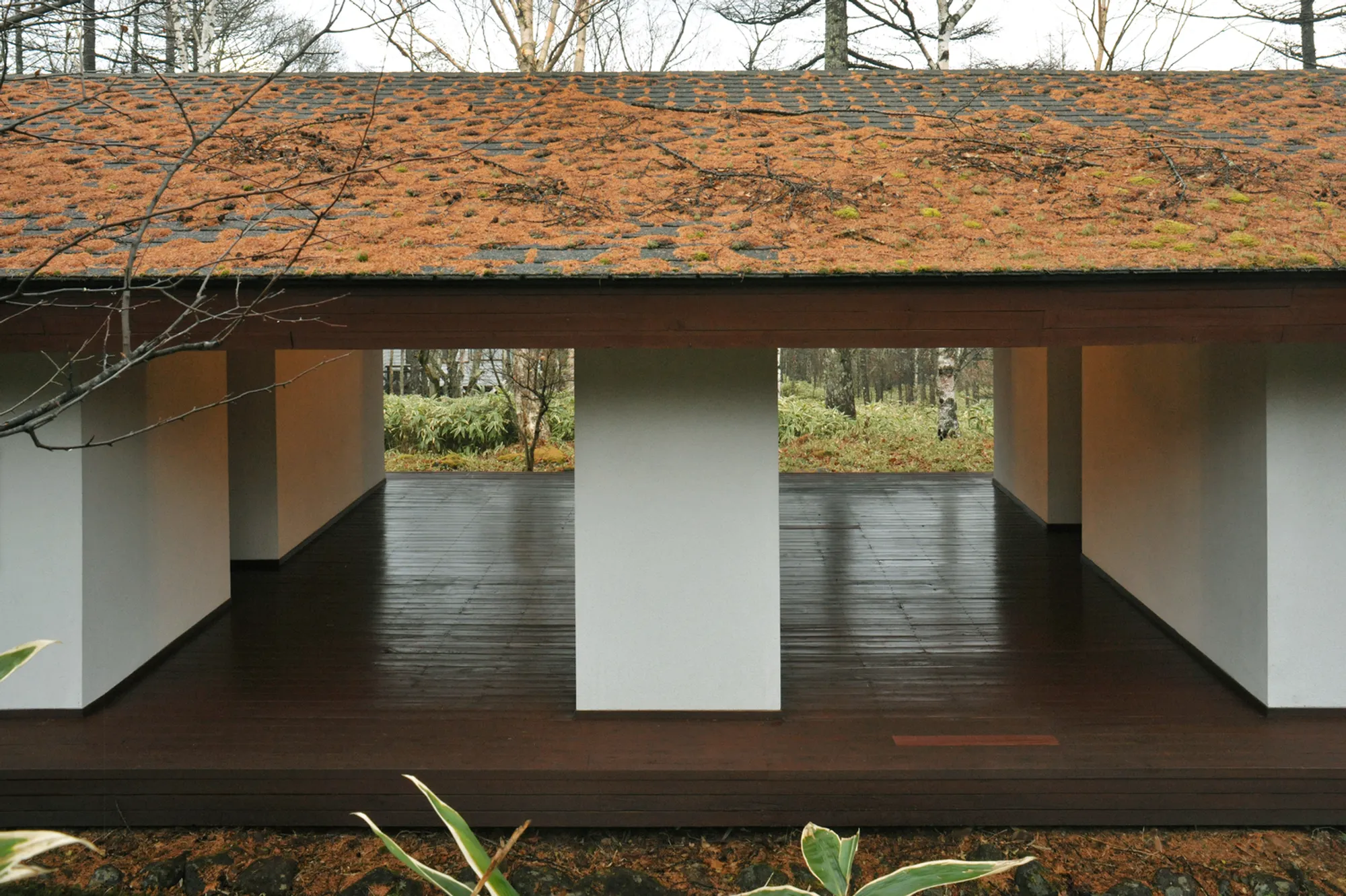 Yamakawa Villa by Riken Yamamoto: A Summer Retreat in Harmony with Nature