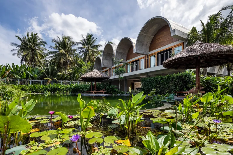 Lotus pond with lily pads in foreground and arched volumes rising behind thatched shelters