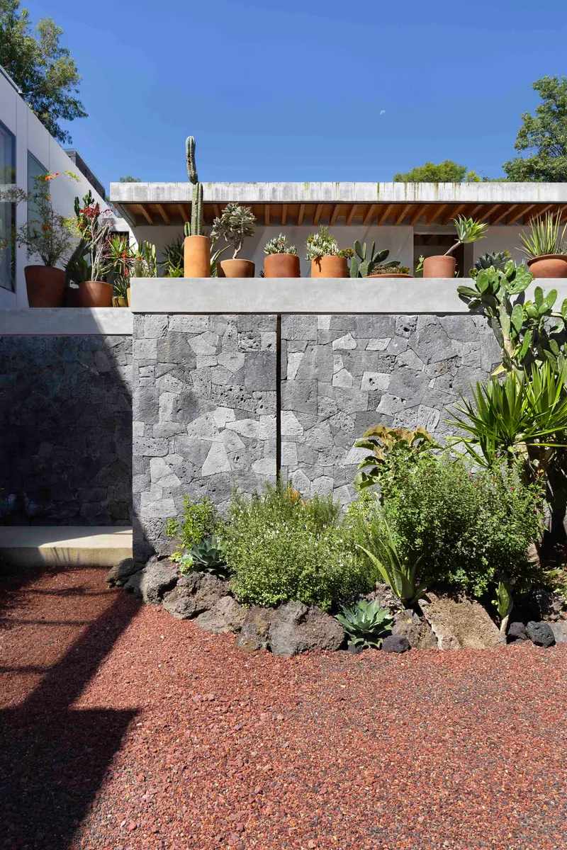 Stone-clad wall with a row of cactus pots above and a planted edge below