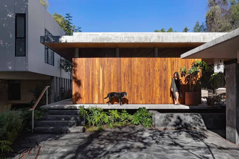 Concrete and timber pavilion volume seen from the entrance courtyard with a person and a dog on the platform