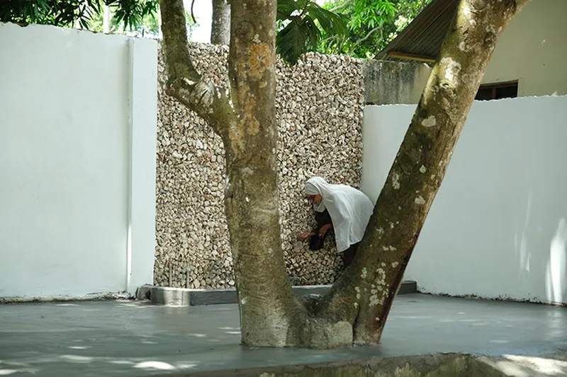 Courtyard with white walls, crushed stone feature wall, and preserved tree trunks with a seated figure