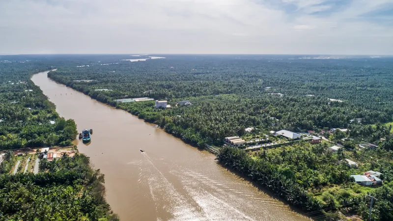 Aerial view of a river winding through dense palm forest and scattered low-rise structures