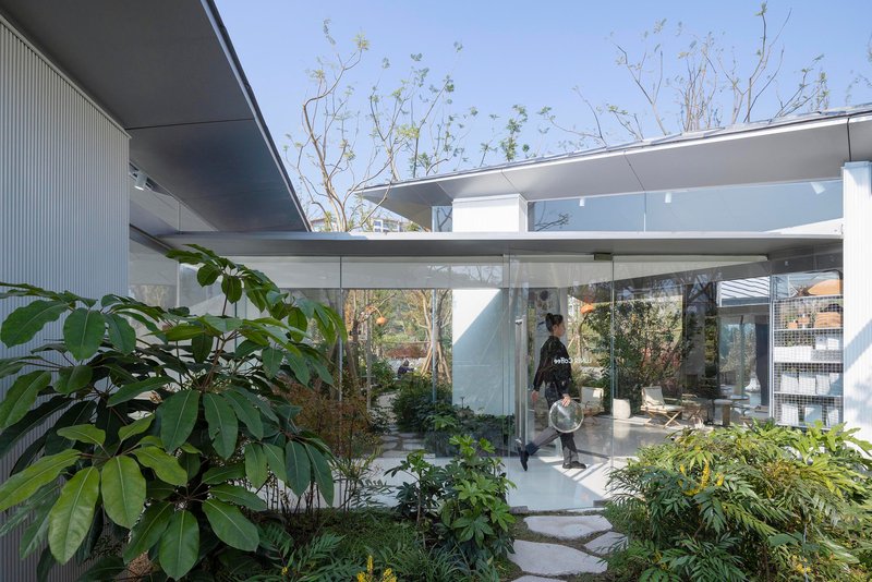 Glass-walled courtyard entrance with stepping stone path through planted beds and a resident walking with bicycle