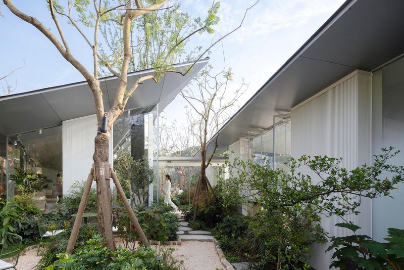 Planted courtyard walkway with mature trees and shrubs beneath floating concrete roof planes and glass walls