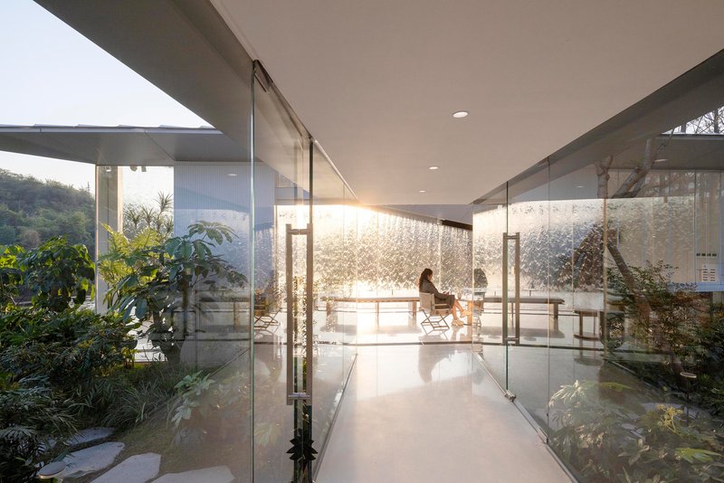 Glass-walled corridor flanked by planted courtyards with stepping stones under morning light