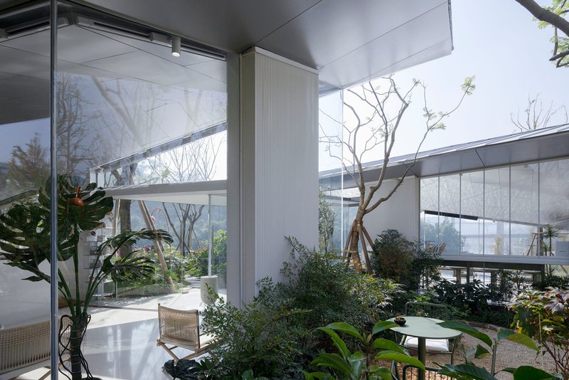 Internal garden courtyard with round table and seating beneath bare tree branches and glass roof