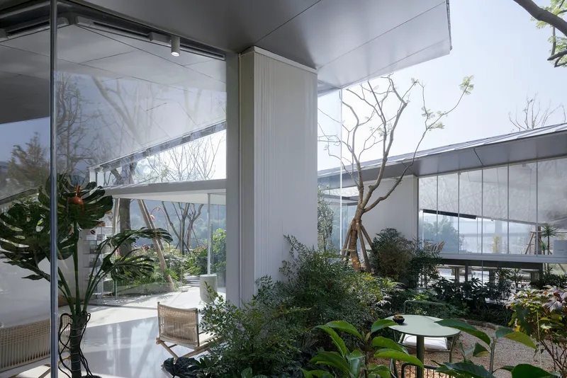 Internal garden courtyard with round table and seating beneath bare tree branches and glass roof