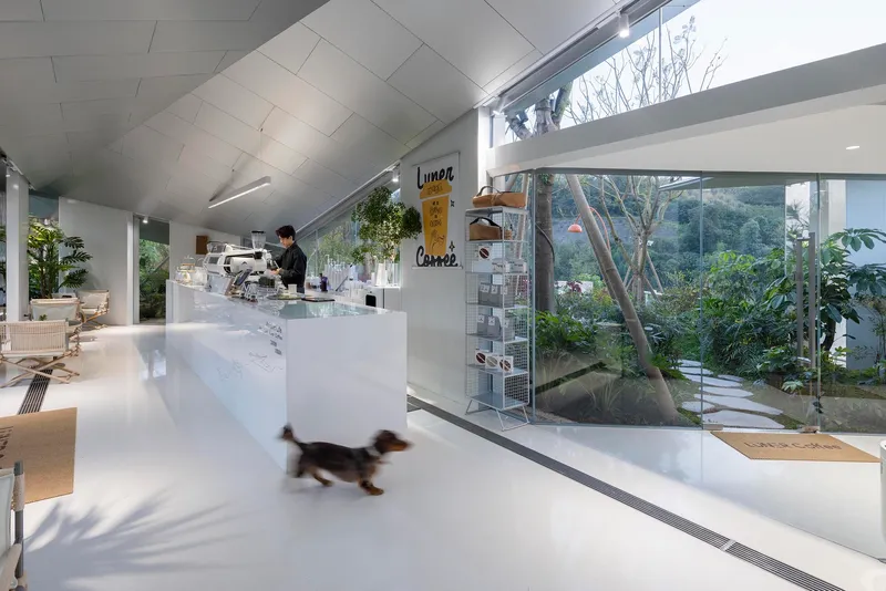 White cafe counter with barista and small dog running across polished floor near glazed garden