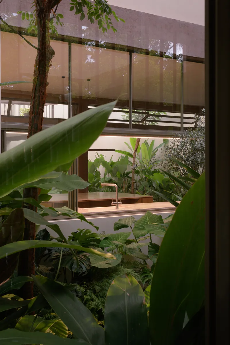 Interior courtyard with banana plants and tropical vegetation viewed through steel-framed glazing