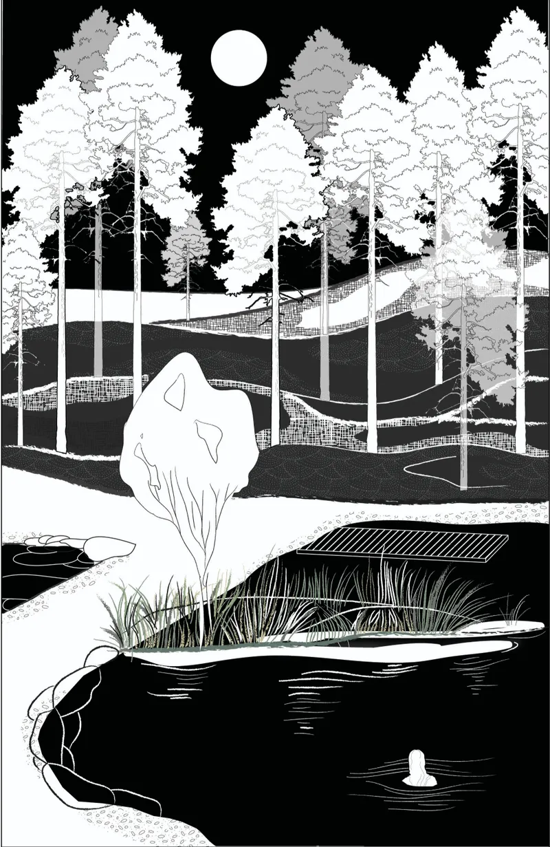 Valley pond as a moment of stillness, where landscape, reflection, and solitude converge into spatial introspection.