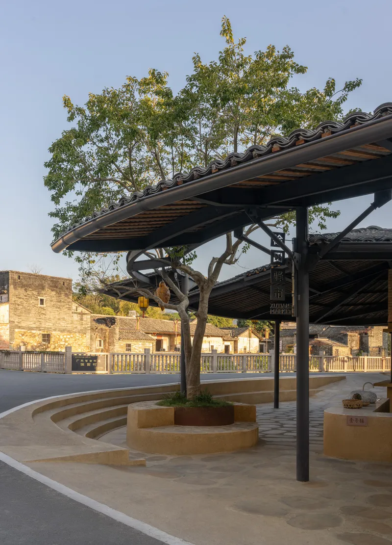 Tree emerging through circular planter beneath cantilevered roof with exposed steel diagonal bracing