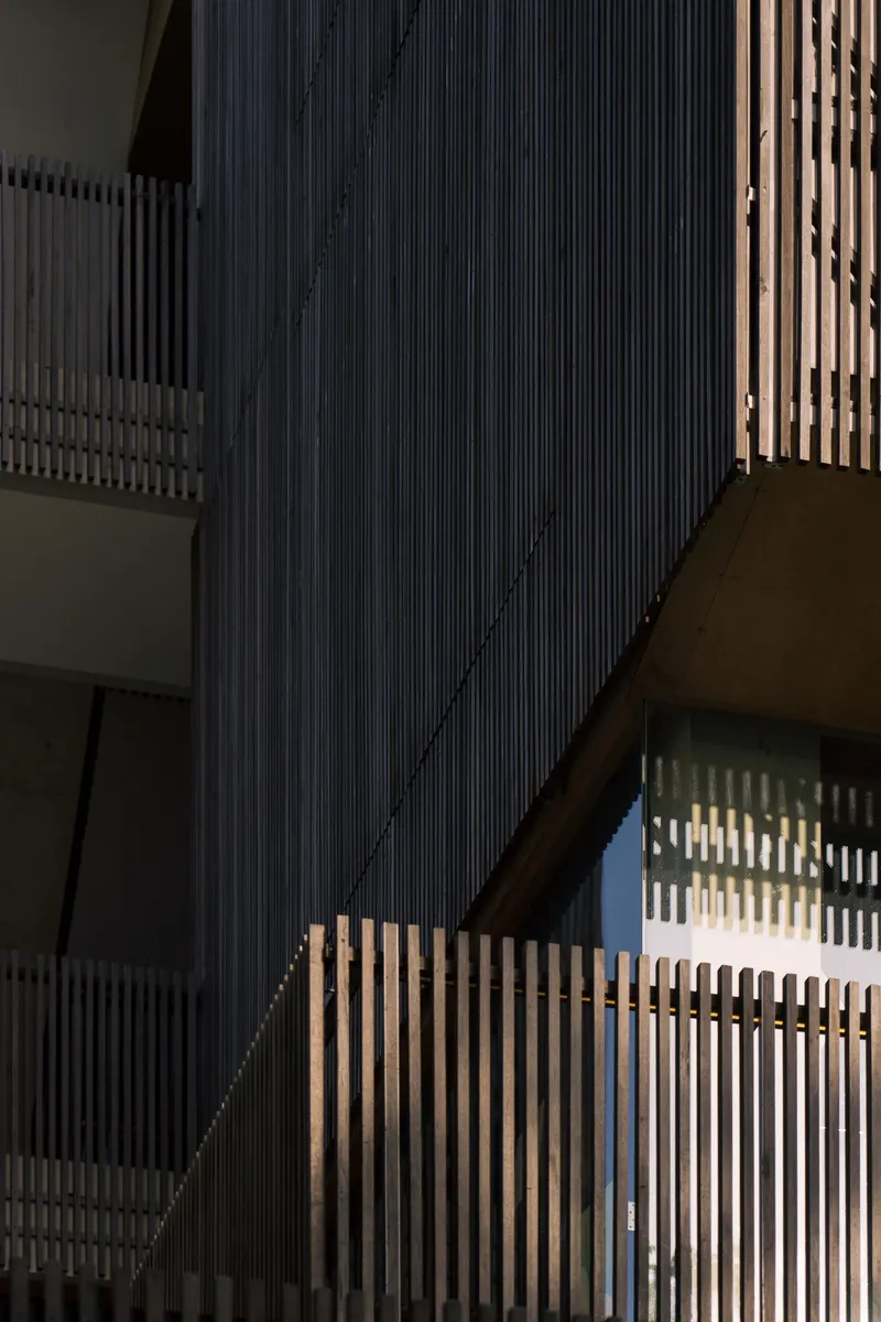 Stacked canopies and vertical timber slats casting shadows on dark cladding in afternoon light