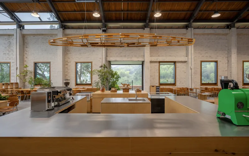 Open kitchen counter with espresso machine under a suspended timber lattice frame and skylights above