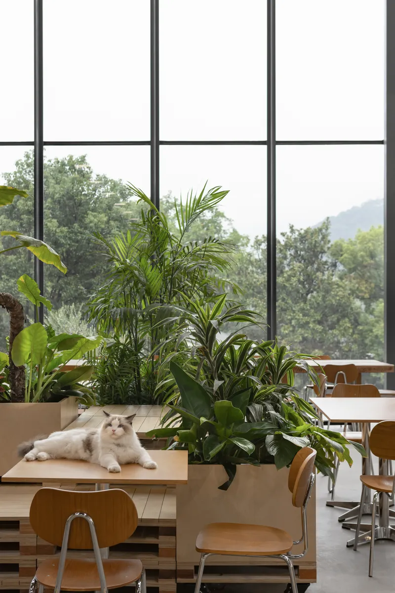 Planter box with tropical plants and cat resting on bench beside gridded window overlooking misty hills